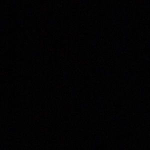 Meet your Posher, Ella